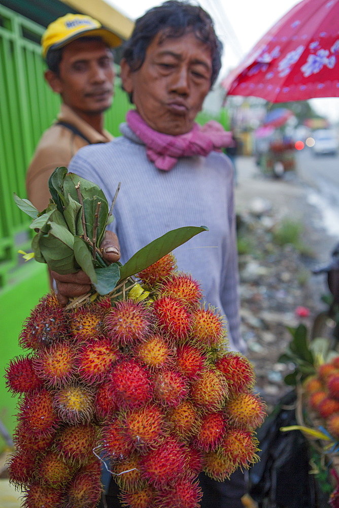 A man holds up a large bunch of rambutan for sale, Indonesia, Southeast Asia, Asia