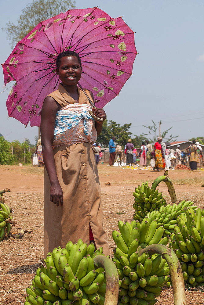 A lady selling bananas at the market shelters from the sun under a pink umbrella, Rwanda, Africa