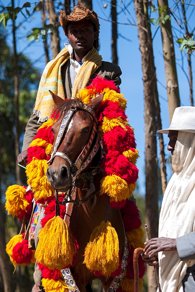 A man rides his horse with traditional red and yellow Ethiopian headdress, Ethiopia, Africa