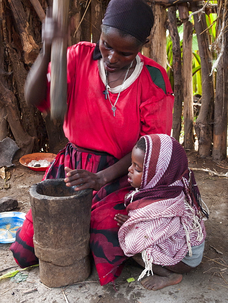 A woman uses a traditional wooden pestle and mortar to grind freshly roasted coffee beans, Ethiopia, Africa