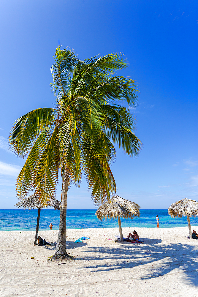 Palm trees and umbrellas on the beach Playa Ancon near Trinidad, Trinidad, Cuba, West Indies, Caribbean, Central America