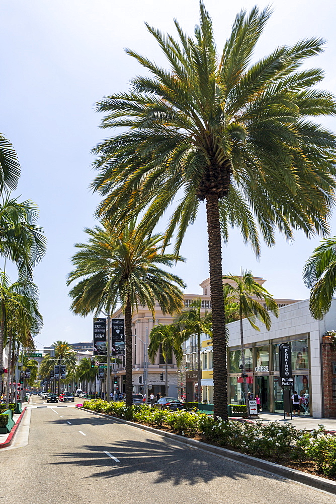 Rodeo Drive, Beverly Hills, Los Angeles, California, United States of America, North America