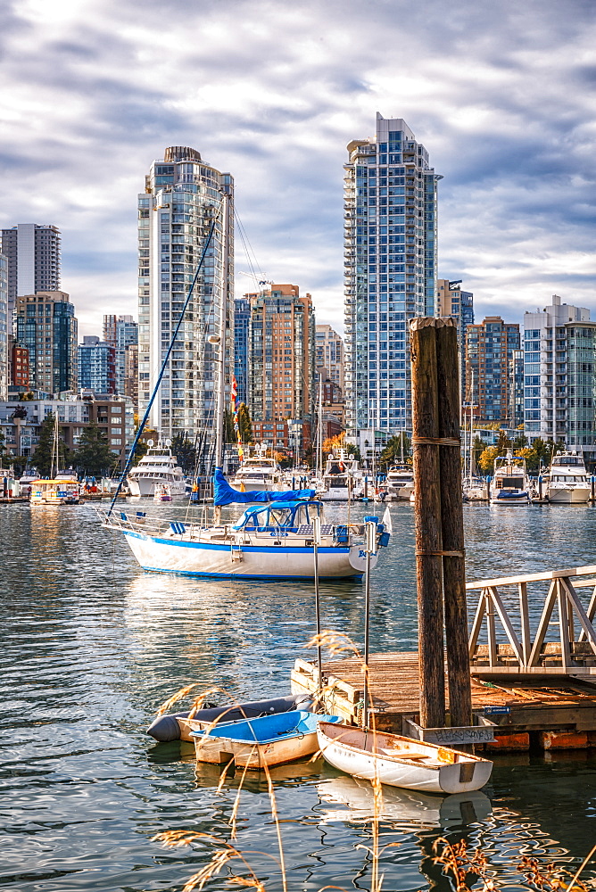 View of Vancouver skyline and False Creek in autumn, Vancouver, British Columbia, Canada, North America