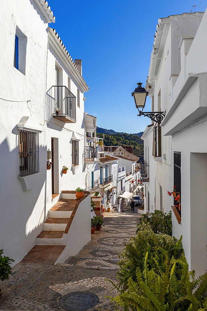 Narrow street with whitewashed Andalusian houses in the old town, Frigiliana, Malaga province, Andalusia, Spain, Europe