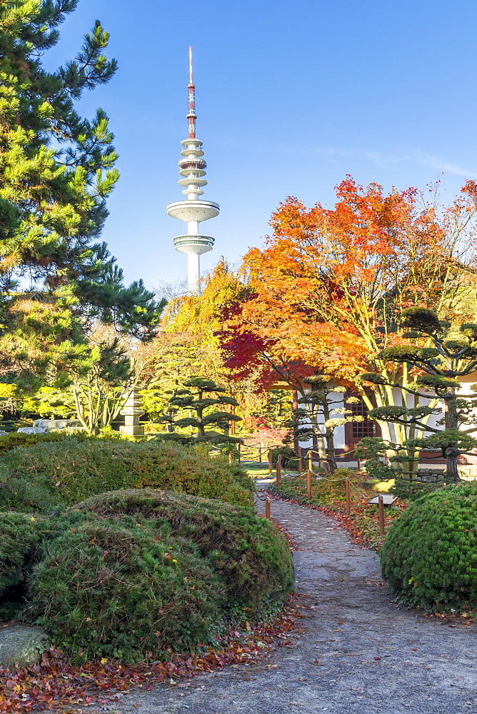 View from the Japanese Garden inside Planten un Blomen to the TV tower in autumn, Hamburg, Germany, Europe