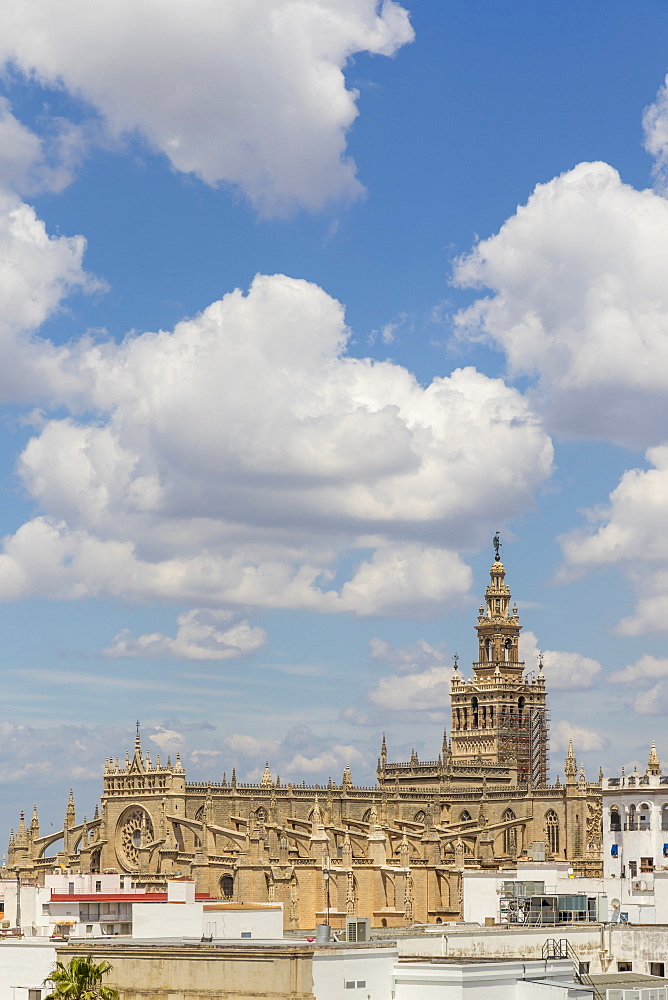 View from the Golden Tower (Torre del Oro) to the Cathedral, UNESCO World Heritage Site, Seville, Andalusia, Spain, Europe