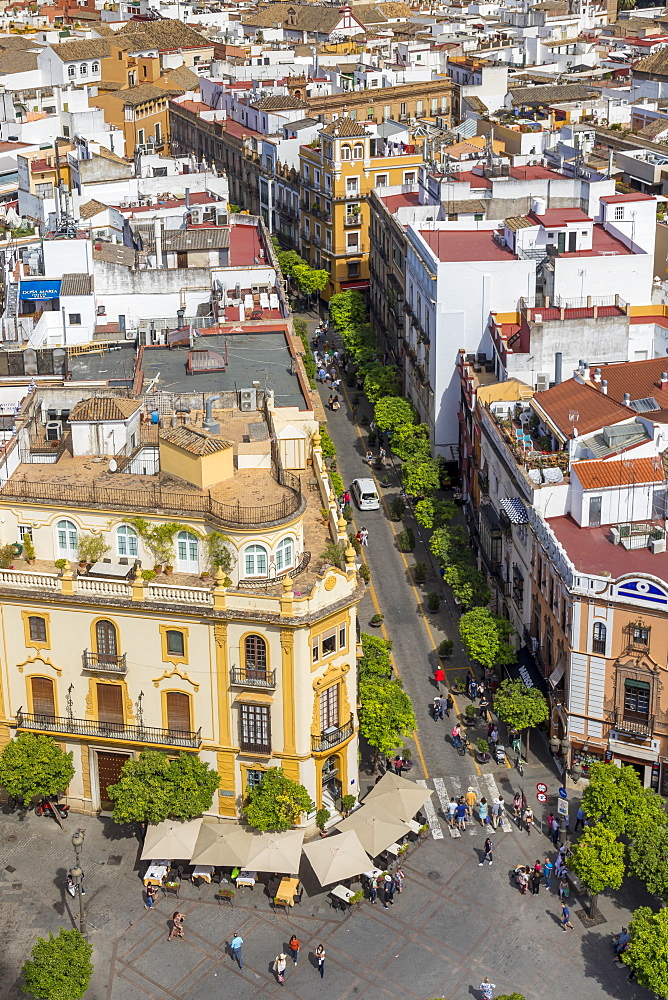 View from the Giralda Bell Tower down to the Virgen de los Reyes square, Seville, Andalusia, Spain, Europe