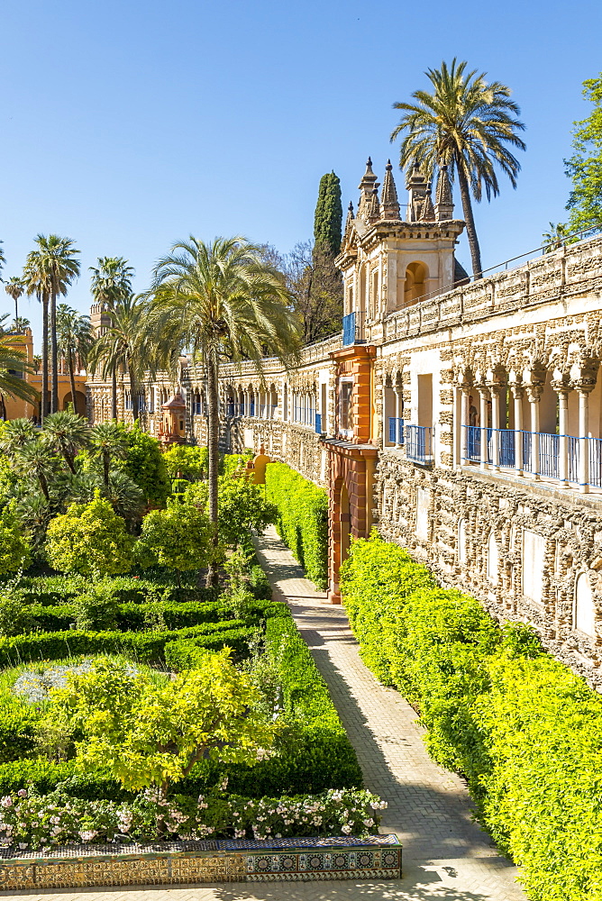 Alcazar Gardens, UNESCO World Heritage Site, Seville, Andalusia, Spain, Europe