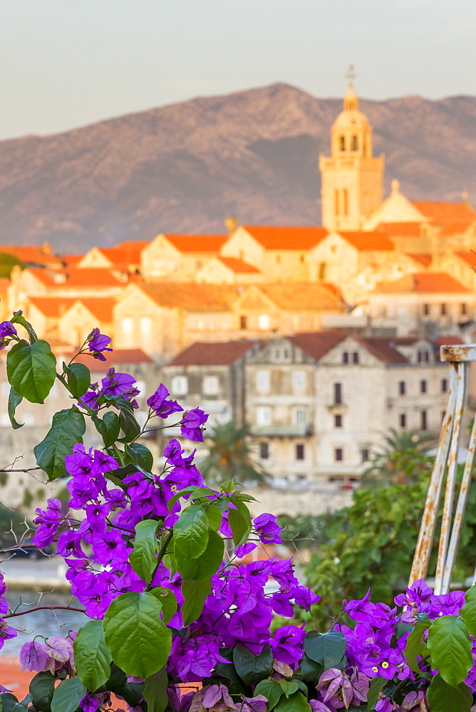 Elevated view to the old town of Korcula, Croatia, Europe