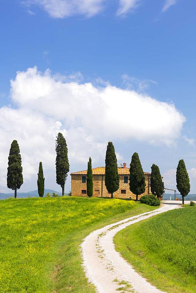 Tuscan villa, winding path and cypress trees with blue sky near Pienza, Tuscany, Italy, Europe