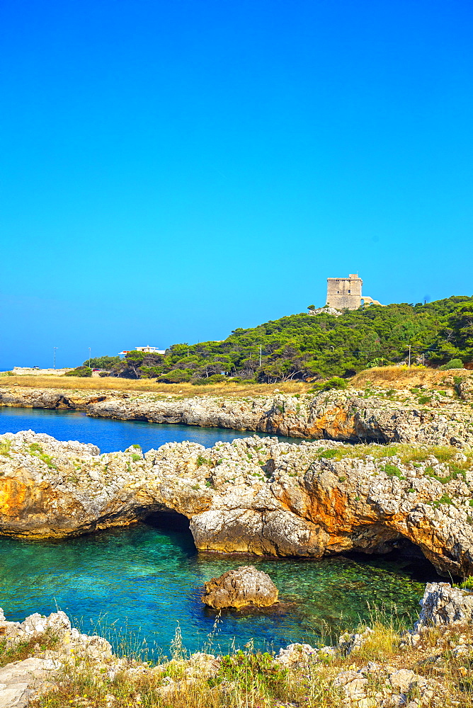 Torre Santa Maria dell'Alto, Nardo, Puglia, Italy, Europe