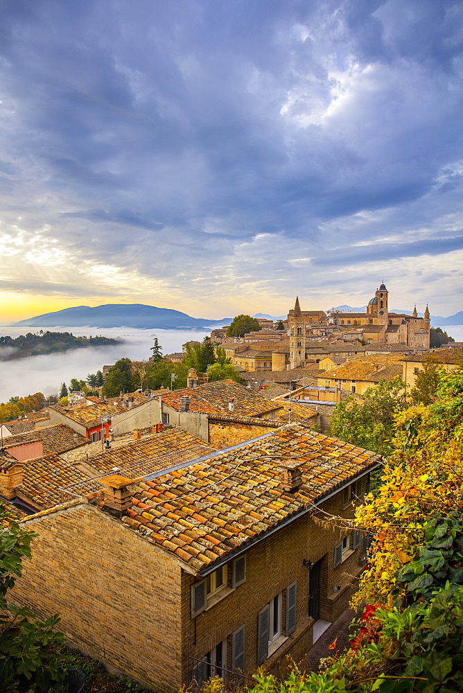 Urbino, Marche, Italy, Europe