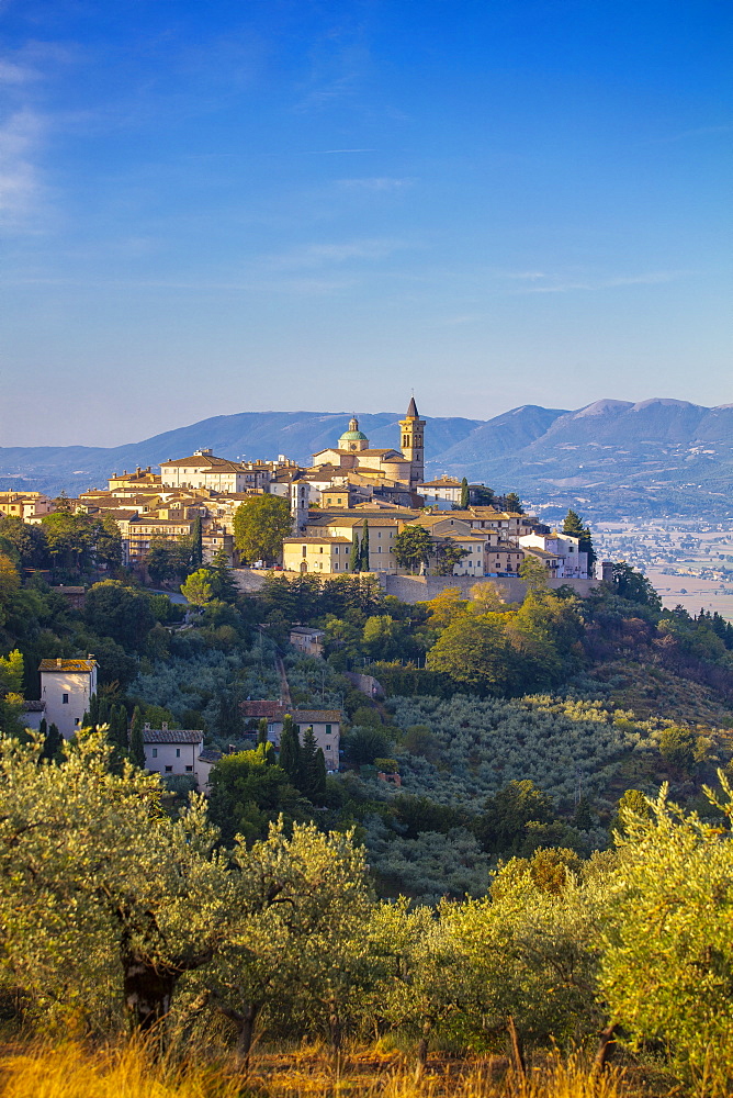 Trevi, Perugia, Umbria, Italy, Europe