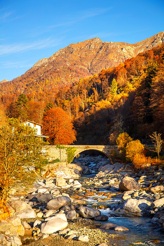 Cervo River, Valle Cervo, Biella, Piedmont, Italy, Europe