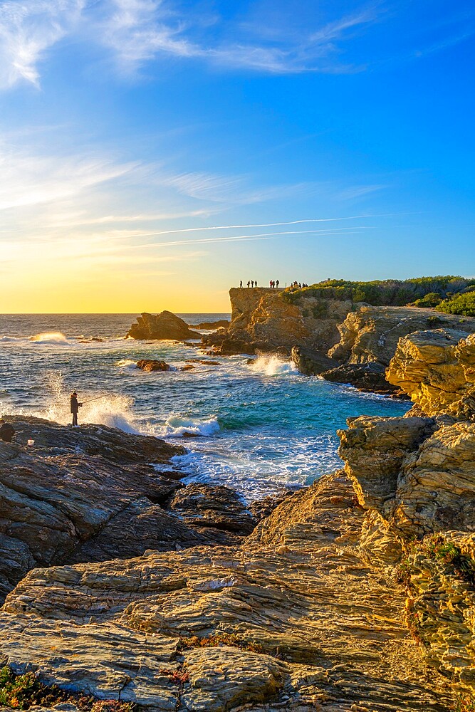 Grand Gaou Island, Six-Fours-les-Plages, Provence-Alpes-Cote d'Azur, France, Mediterranean, Europe