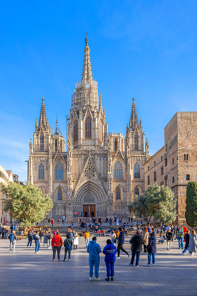 The Cathedral (Catedral de la Santa Creu i Santa Eulalia), Barcelona, Catalonia, Spain, Europe