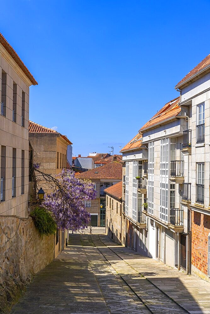 Cambados, Pontevedra, Galicia, Spain