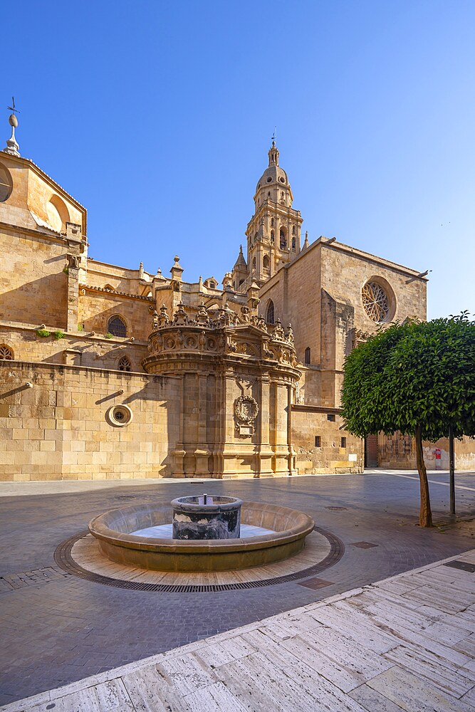 Cathedral of Santa Maria, Murcia, autonomous community of Murcia, Spain