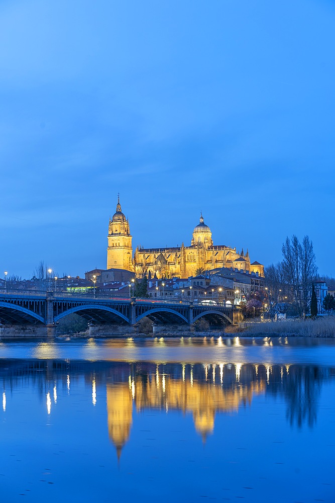 Tormes river, New Cathedral of Salamanca, Catedral de la Asunción de la Virgen, Salamanca, Castile and León, Spain