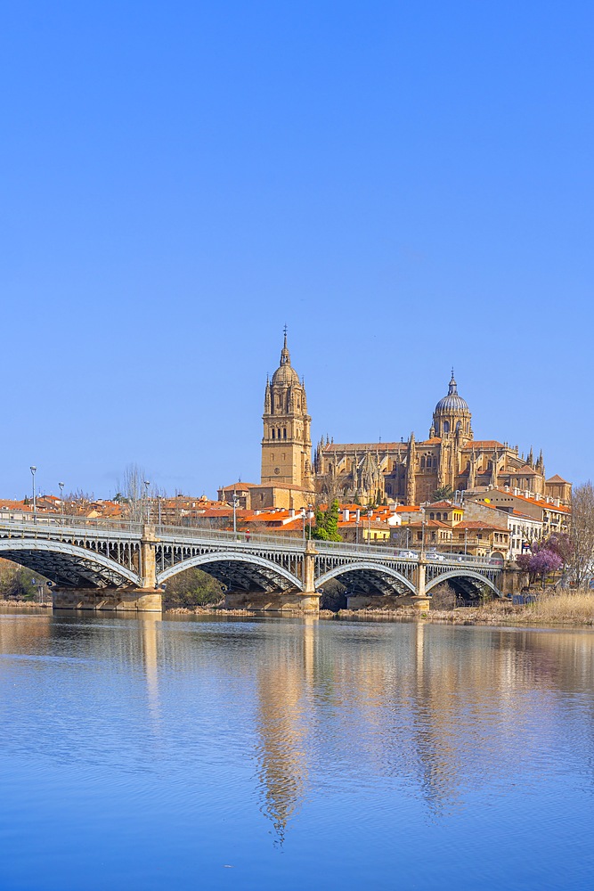 Tormes river, New Cathedral of Salamanca, Catedral de la Asunción de la Virgen, Salamanca, Castile and León, Spain