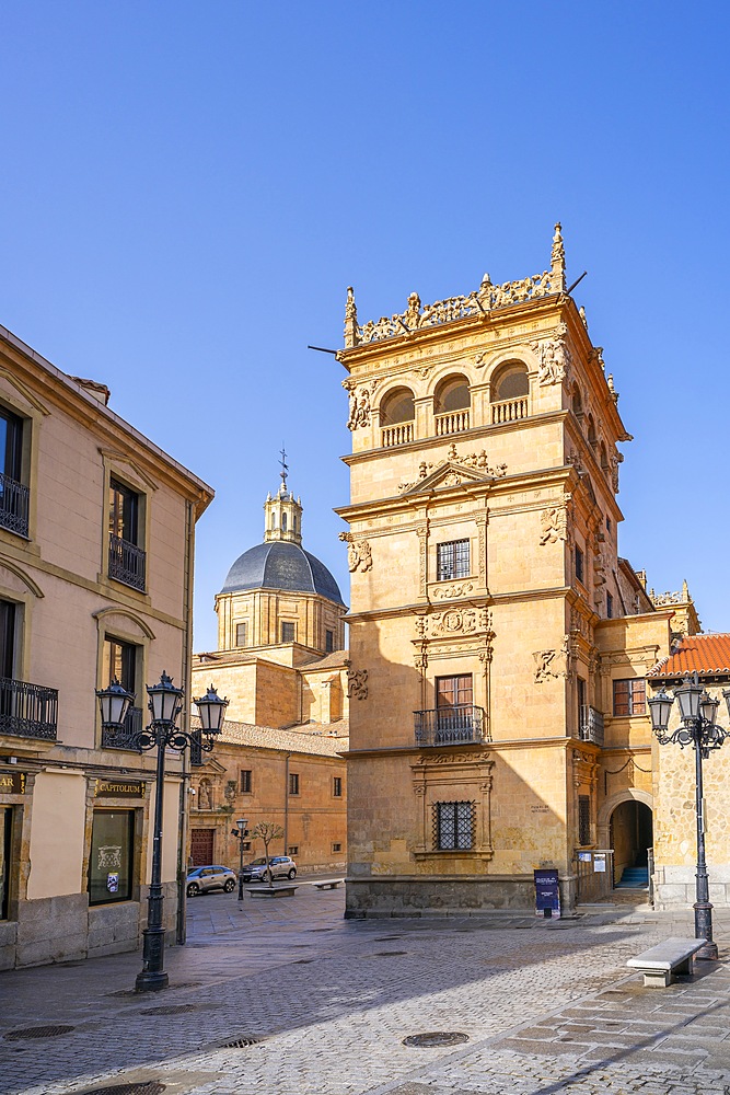 Monterrey Palace, Salamanca, Castile and León, Spain