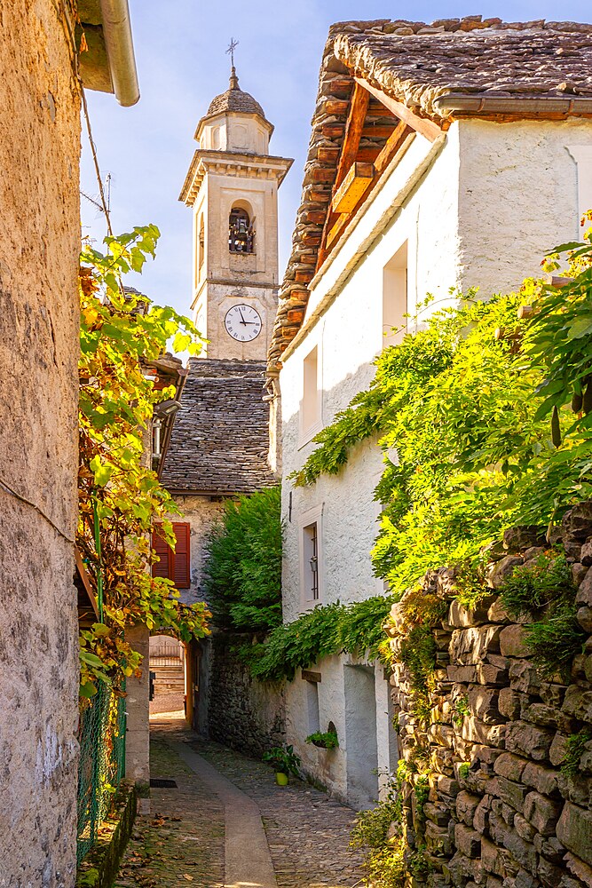 Among the landscapes of Carlo Fornara, path., Prestinone, Valle Vigezzo, VAl d'Ossola, Verbania, Piedmont, Italy