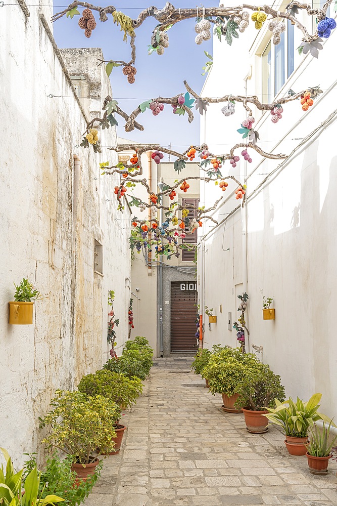 Corte dei Migliore, old town,Mesagne, Brindisi, Salento, Apulia, Italy