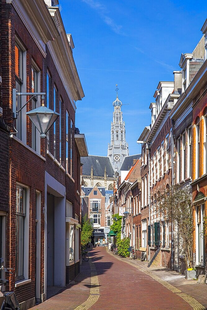 Frankestraat, Haarlem, North Holland, Netherlands, Europe