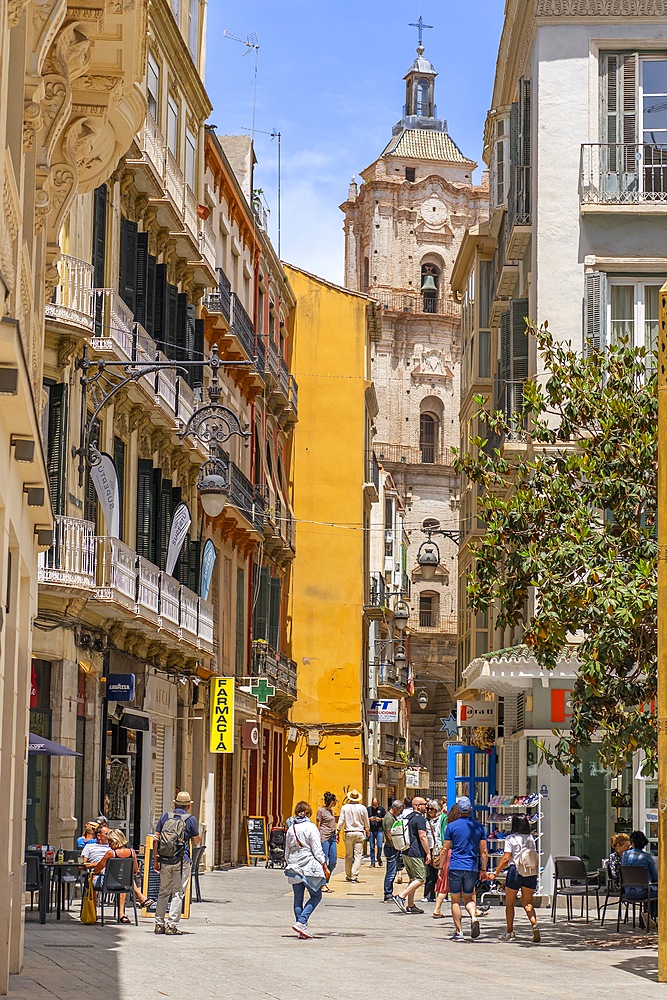 Cathdral of Malaga, Malaga, Andalusia, Spain