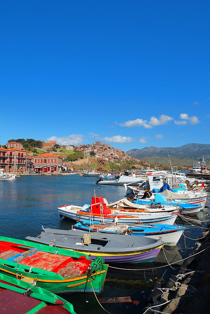 The port of Molivos, Lesvos Island, Greek Islands, Greece, Europe