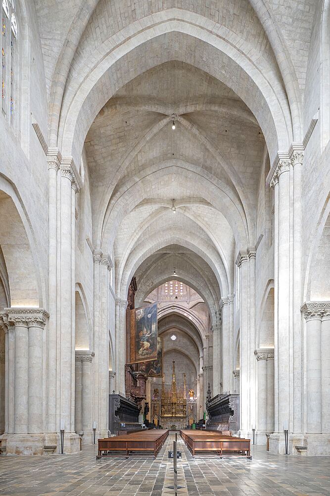 metropolitan and primatial cathedral basilica of Santa Tecla, cathedral,, Tarragona, Catalonia, Spain