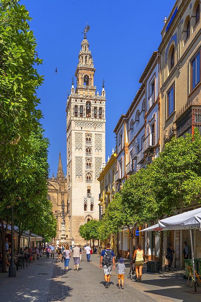 Seville Cathedral, Cathedral of Santa Maria de la Sede of Seville, former ancient Almohad mosque, Seville, Andalusia, Spain