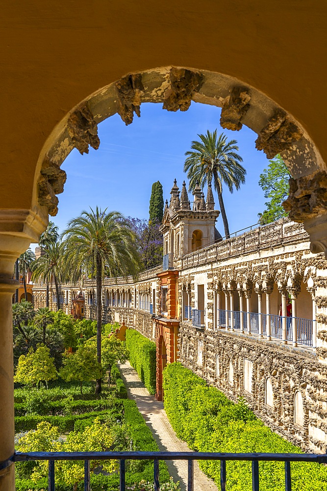 Alcazar Gardens, Alcazar of Seville, Seville, Andalusia, Spain