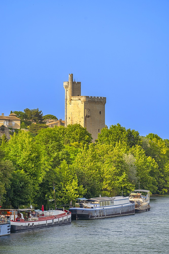 Avignon Tower, Rhone River, Avignon, Provence-Alpes-Côte d'Azur, Grand Avignon, Rhone Valley, France, UNESCO