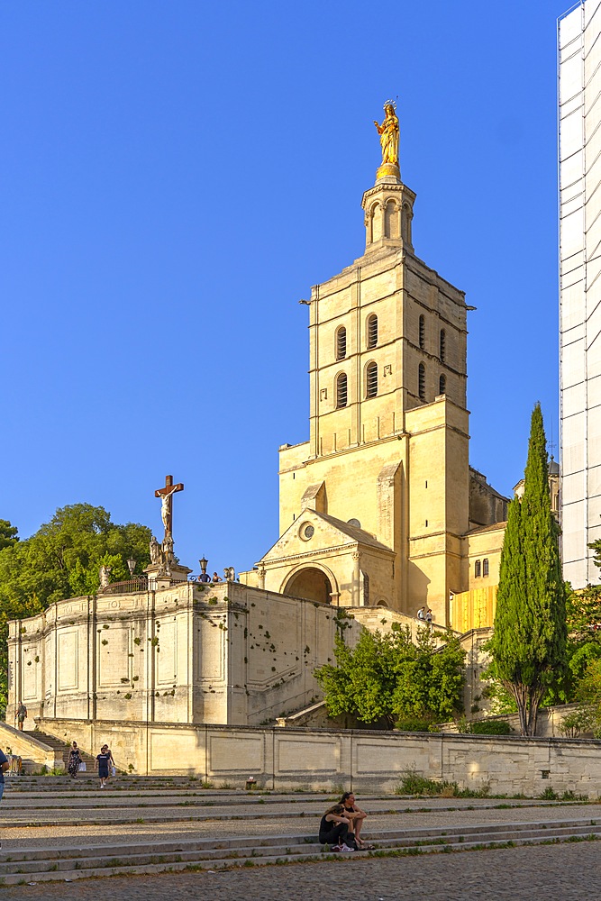 Cathedral, Avignon, Provence-Alpes-Côte d'Azur, Grand Avignon, Rhone Valley, France, UNESCO