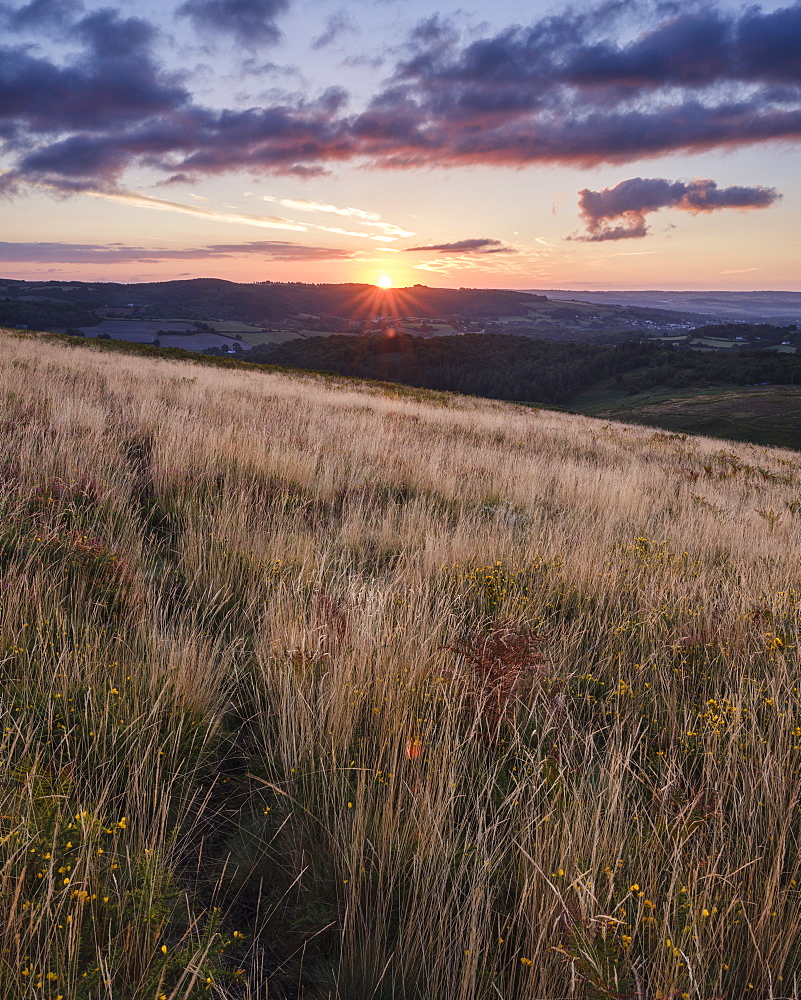 Sunrise from the grassy slopes of Trendlebere Down, Bovey Tracey, Devon, England, United Kingdom, Europe