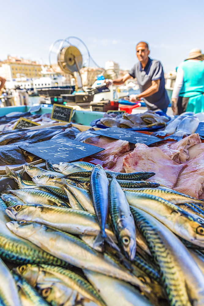 Fish market in the Old Port in Marseille, Bouches du Rhone, Provence, Provence Alpes Cote d'Azur, France, Mediterranean, Europe