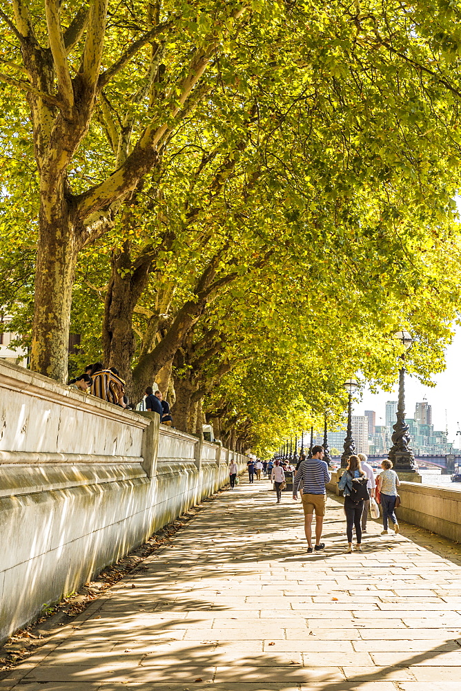 A path along the River Thames, London, England, United Kingdom, Europe