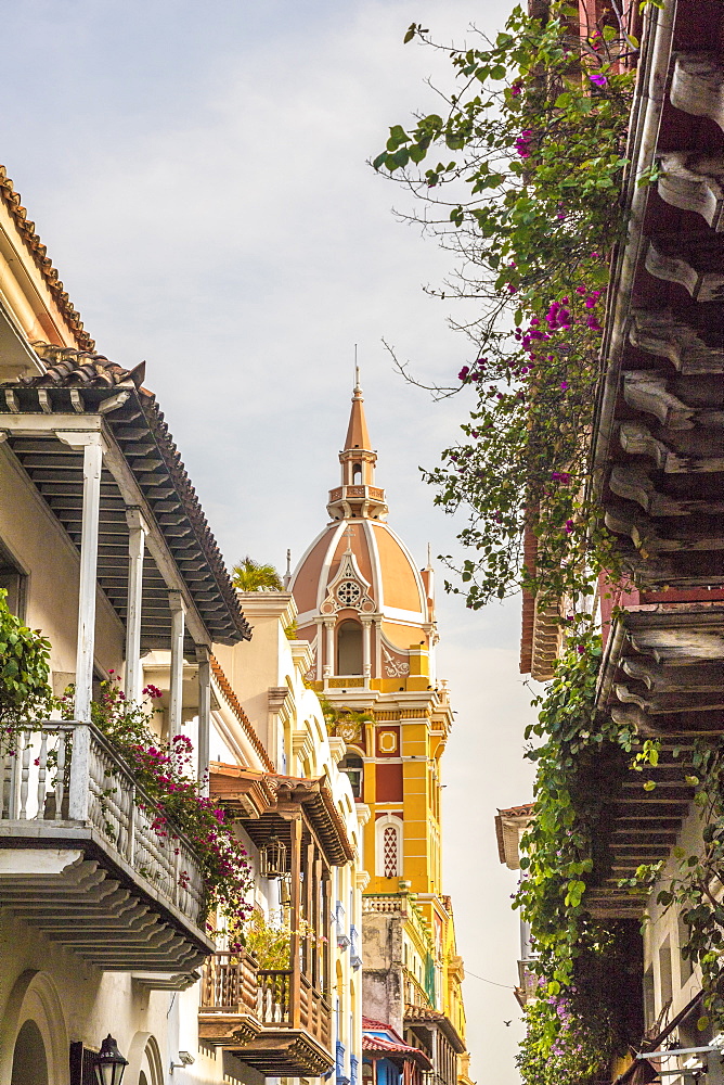 A view of the Cathedral of Cartagena (Metropolitan Cathedral Basilica of Saint Catherine of Alexandria), UNESCO World Heritage Site, Cartagena, Colombia, South America