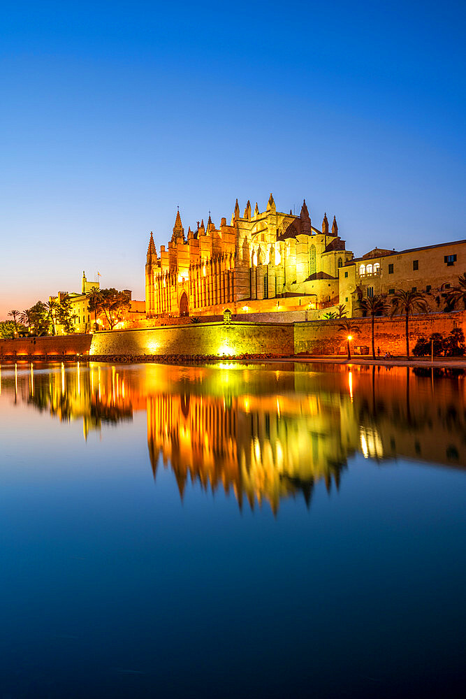 Catedral de Palma (Palma Cathedral) at night, Palma, Majorca, Balearic Islands, Spain, Mediterranean, Europe