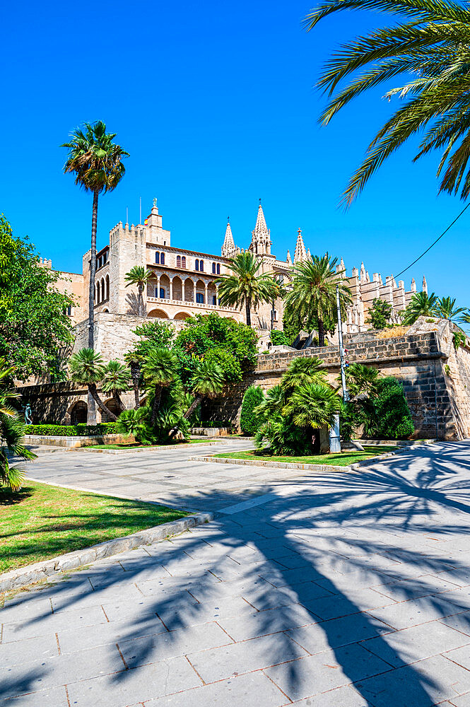 Palma Cathedral in summer, Palma, Majorca, Balearic Islands, Spain, Mediterranean, Europe