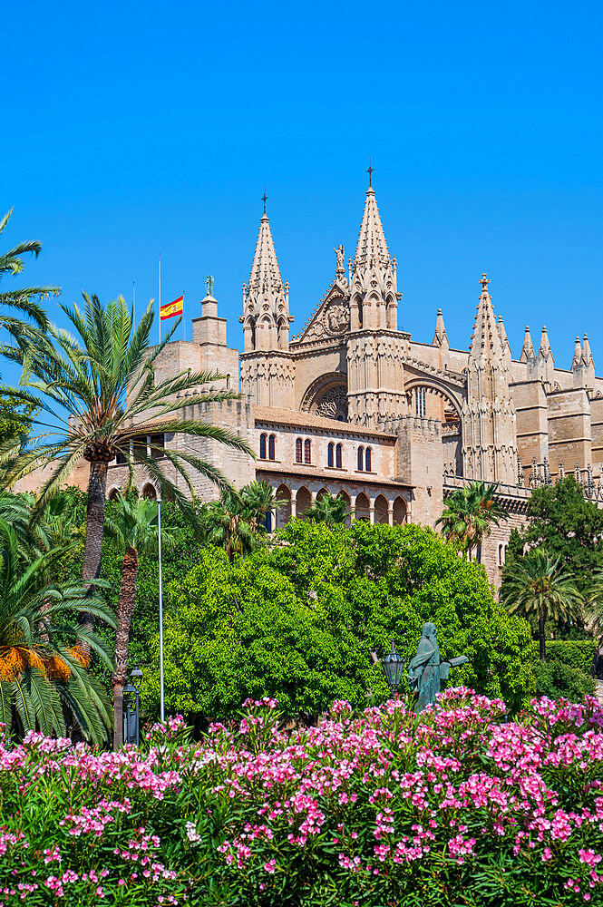 Palma Cathedral with red flower display, Palma de Mallorca, Mallorca (Majorca), Balearic Islands, Spain, Mediterranean, Europe