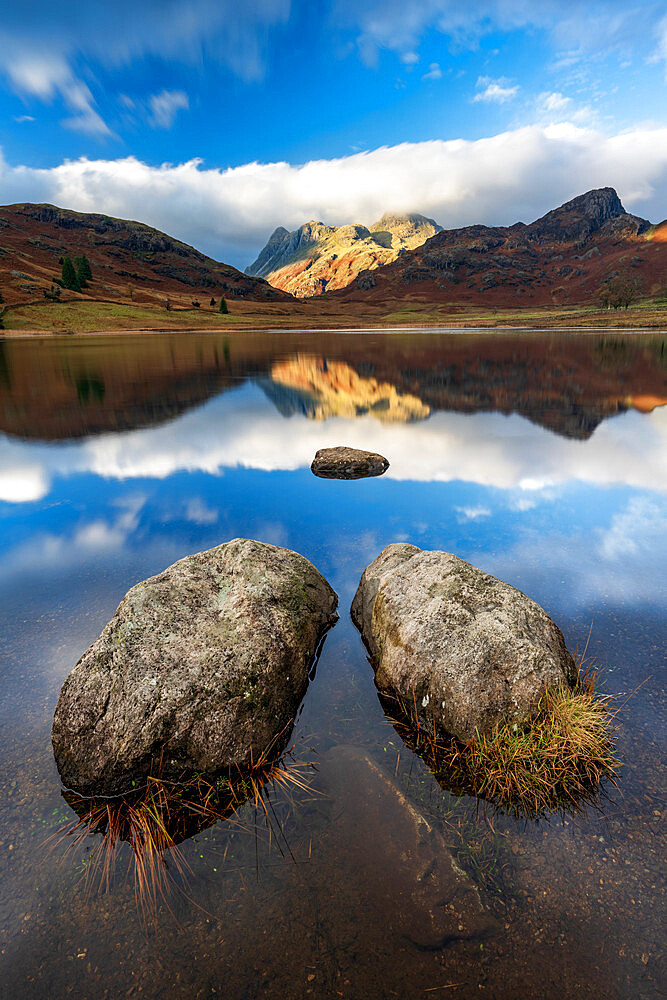 Autumn colours reflected at Blea Tarn, Langdale Pikes, Lake District National Park, Cumbria,