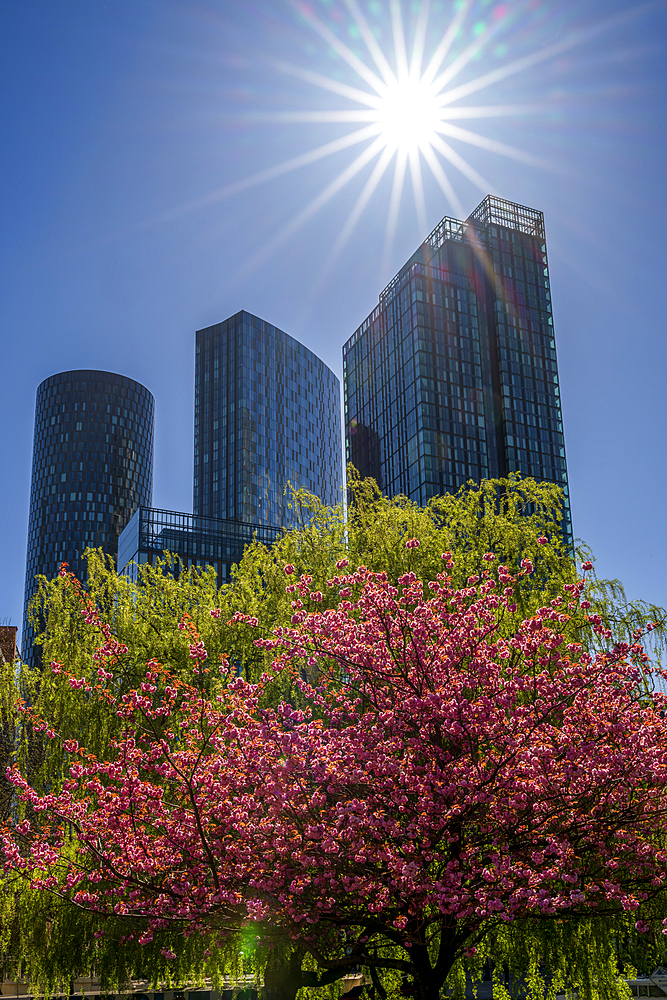 Spring view in Manchester at Castlefield with skyscrapers, Manchester