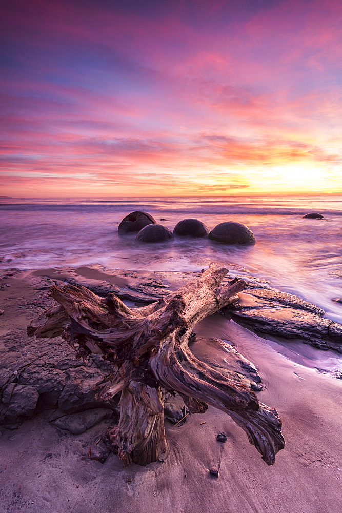 Moeraki Boulders with dramatic sunrise, Otago, South Island, New Zealand, Pacific