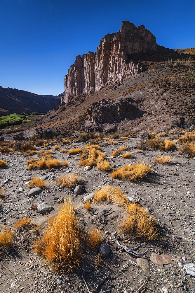 Rio Pinturas Canyon, Cave of the Hands, UNESCO World Heritage Site, Patagonia, Province of Santa Cruz, Argentina, South America