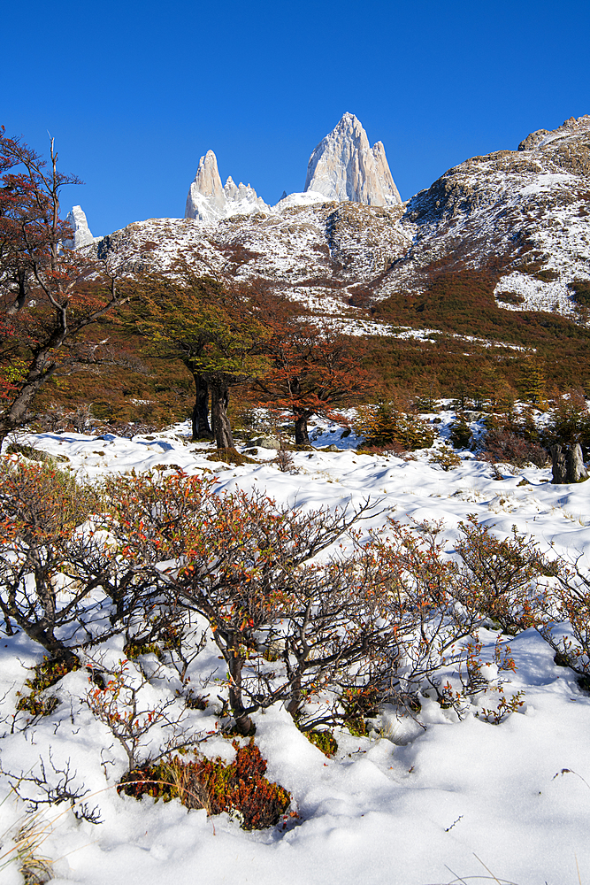 Autumn scene with snow with Mount Fitz Roy and Cerro Torre, El Chalten, Los Glaciares National Park, UNESCO World Heritage Site, Patagonia, Argentina, South America