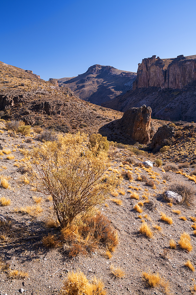 Canyon of the Rio Pinturas near Cueva de los Manos, Patagonia, Argentina, South America