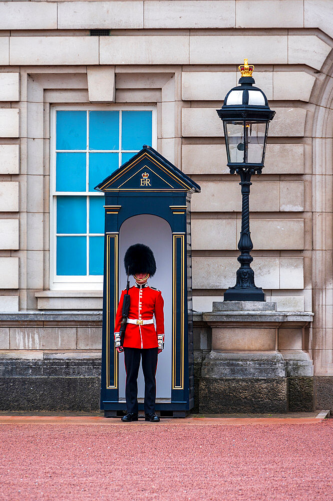 A Grenadier Guardsman outside Buckingham Palace, London, England, United Kingdom, Europe