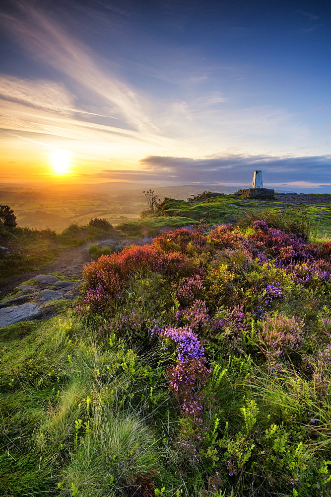 Sunrise at Cloudside triangulation pillar with Heather, near Congleton, Cheshire, England, United Kingdom, Europe